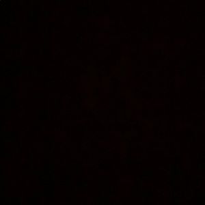 Meet your Posher, Sean